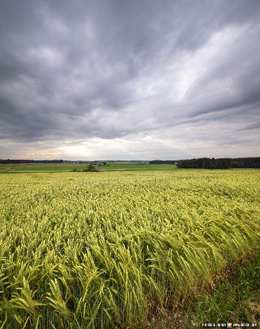 Gemeinde Tyrlaching Landkreis Altötting Rainbichl Aussicht Landschaft (Dirschl Johann) Deutschland AÖ